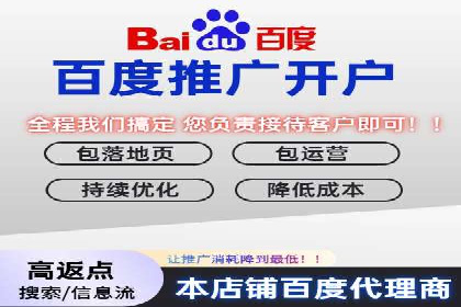 SEM搜索引擎优化成功案例，揭示优化策略与技巧